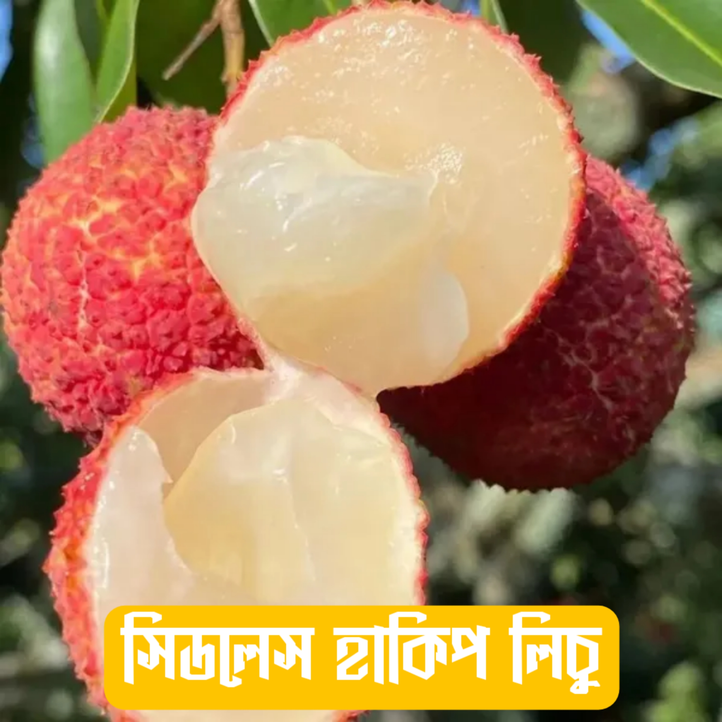 {"remix_data":[],"remix_entry_point":"challenges","source_tags":["local"],"origin":"unknown","total_draw_time":48286,"total_draw_actions":2,"layers_used":2,"brushes_used":0,"photos_added":0,"total_editor_actions":{},"tools_used":{"resize":1},"is_sticker":false,"edited_since_last_sticker_save":true,"containsFTESticker":false}