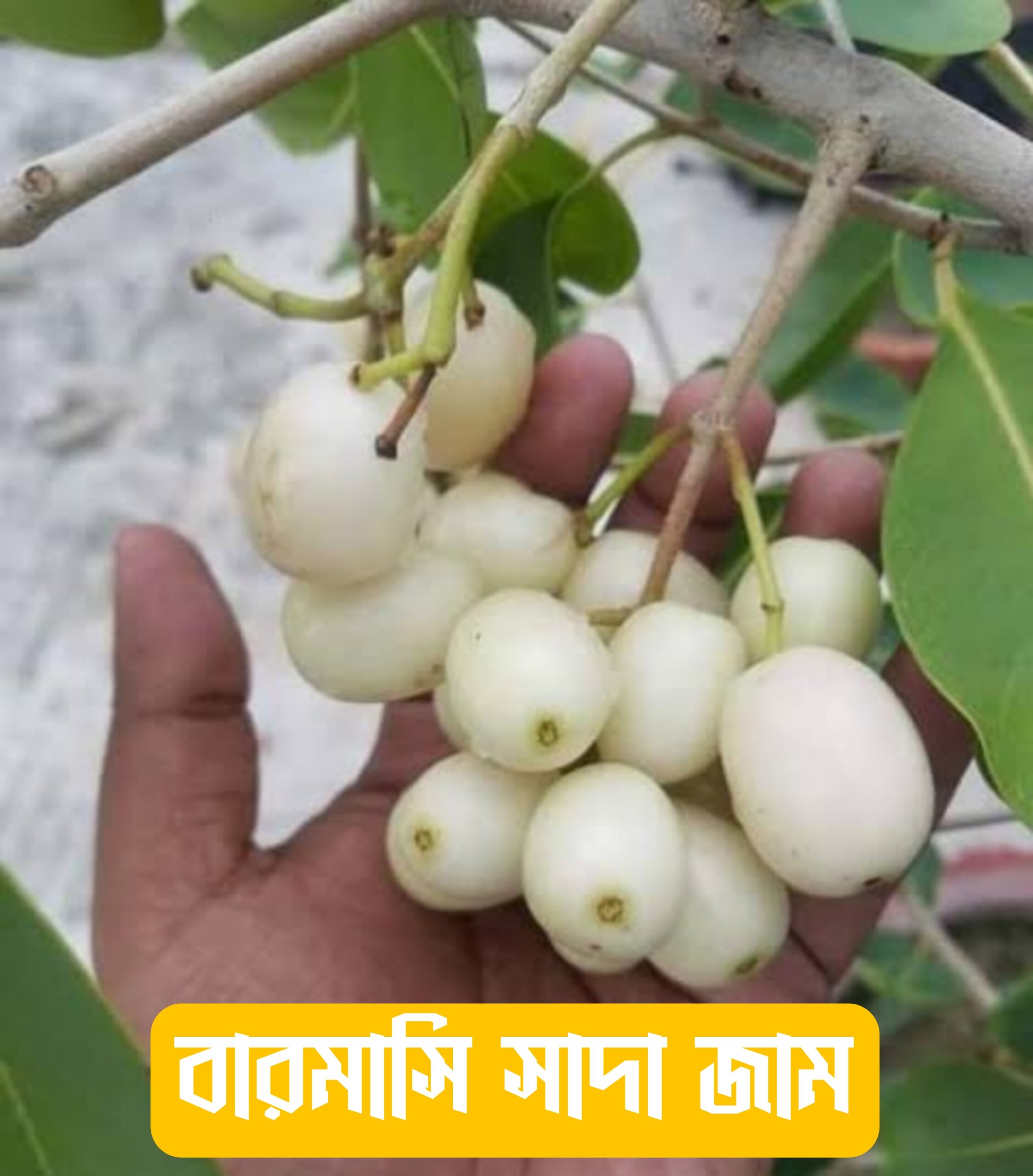 {"remix_data":[],"remix_entry_point":"challenges","source_tags":["local"],"origin":"unknown","total_draw_time":48375,"total_draw_actions":2,"layers_used":2,"brushes_used":0,"photos_added":0,"total_editor_actions":{},"tools_used":{"transform":1},"is_sticker":false,"edited_since_last_sticker_save":true,"containsFTESticker":false}