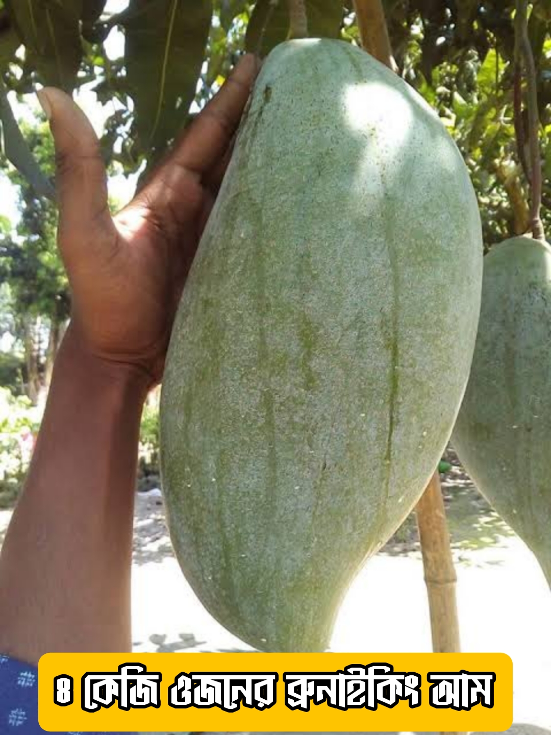 {"remix_data":[],"remix_entry_point":"challenges","source_tags":["local"],"origin":"unknown","total_draw_time":48483,"total_draw_actions":3,"layers_used":2,"brushes_used":0,"photos_added":0,"total_editor_actions":{},"tools_used":{},"is_sticker":false,"edited_since_last_sticker_save":false,"containsFTESticker":false}